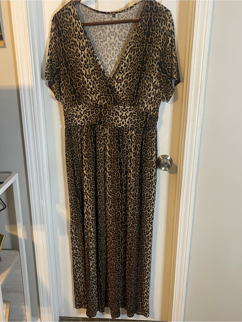 Leopard Print Maxi Dress - V-Neck, Waist Detail